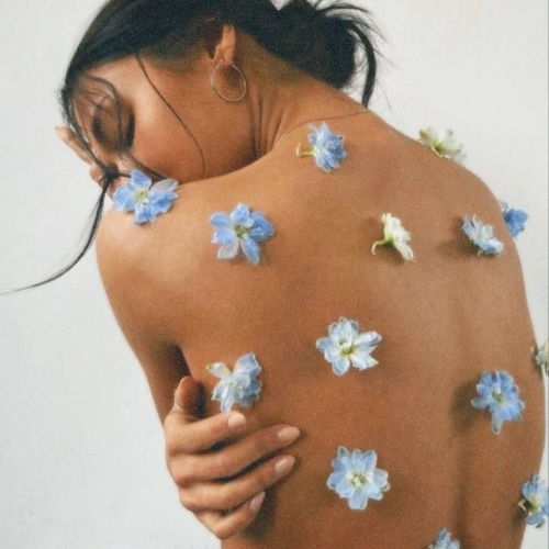 kombinovana chystka spyny 1